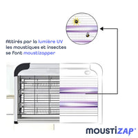 Lampe Anti Moustique - Tueur d'Insectes Electrique